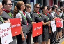Air Canada Flight Attendants