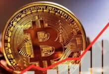 Bitcoin Hits Record High
