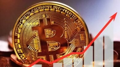 Bitcoin Hits Record High