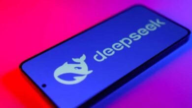 DeepSeek AI Model 125
