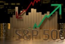 S&P 500 Top Performer