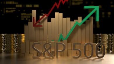 S&P 500 Top Performer